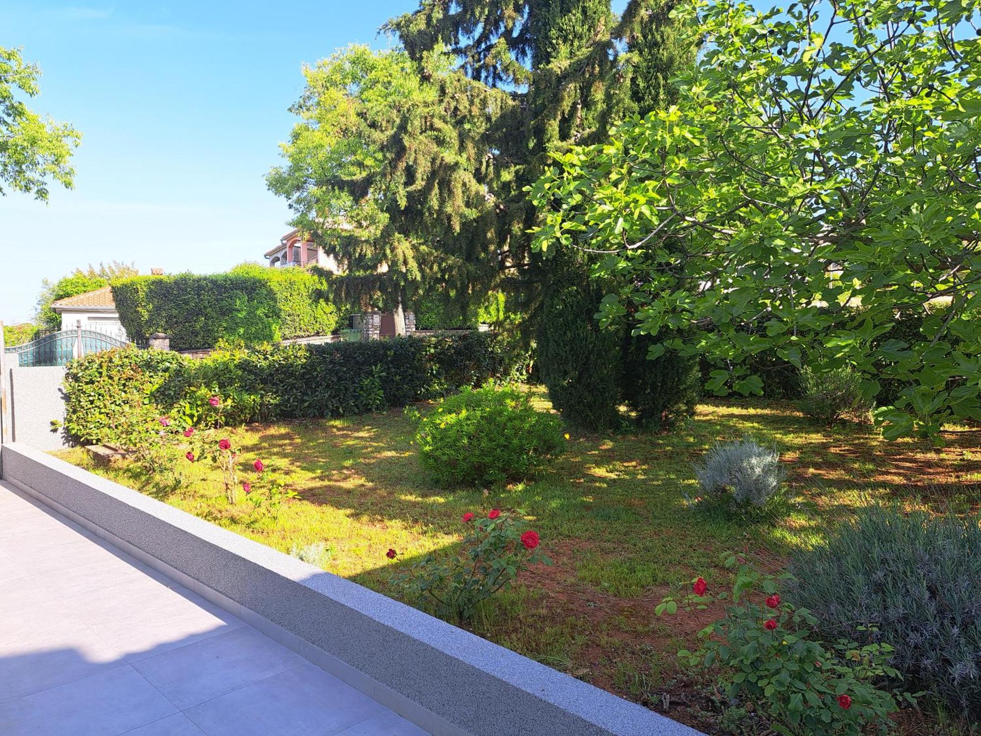 Elinor 2 Apartament