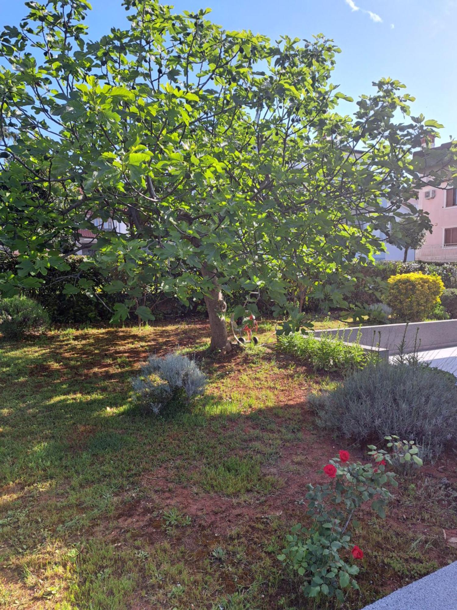 Apartmán Elinor 2